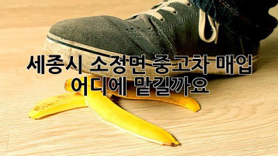 세종시 소정면 중고차 매입, 어디에 맡길까요?