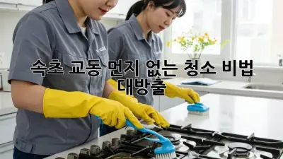 속초 교동, 먼지 없는 청소 비법 대방출! ✨